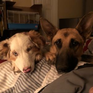 Meet your Posher, Brandon